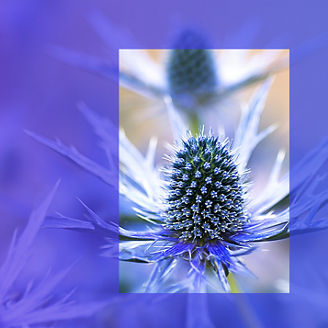 Global Female Leaders Outlook 2023