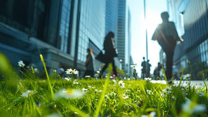 Grass and flowers