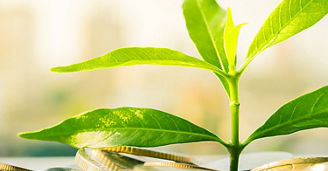 Green Bonds: Sind Steuervorteile für nachhaltige Anleihen sinnvoll?