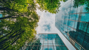 Green Buildings and Trees