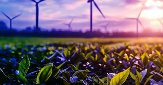 Transition to circular ecosystems in India: role of digitally enabled lifecycle solutions