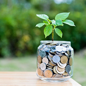 Plant growing from coin jar