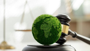 Ilustrační obrázek