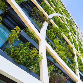 Green plants on glass windows 