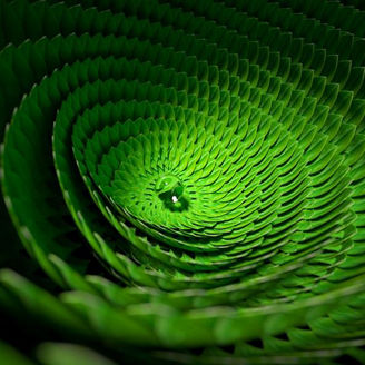 Green spiral
