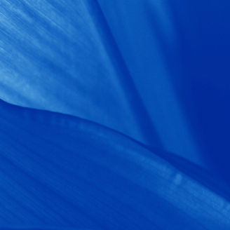 Green tropical leaves converted to blue, shows leaf edges and leaf veins