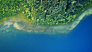 vizualizácia údajov o raste rastlín na digitálnom rozhraní