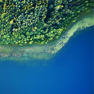 vizualizácia údajov o raste rastlín na digitálnom rozhraní