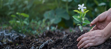 Make the Difference with KPMG