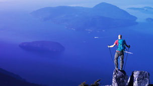 default topic teaser