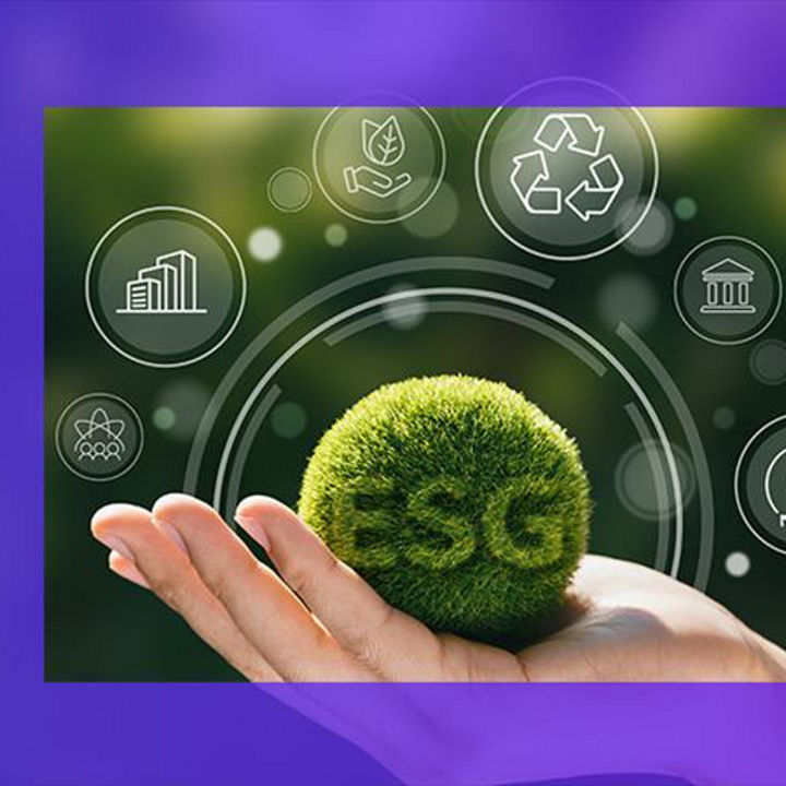 How Indian CEOs have started to view ESG’s importance on businesses