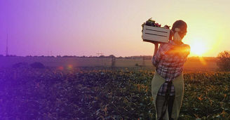 CSRD legislation in Agri-food