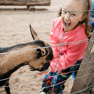 Joyful Child Feeding a Goat at the Petting Zoo