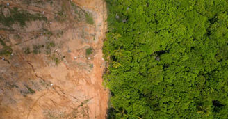 EU Deforestation Regulation