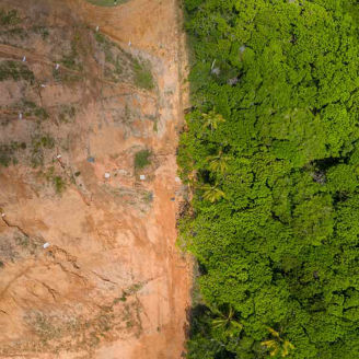 Deforestation showing trees and barren land