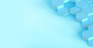 Digital Services Act