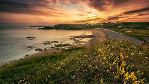 4th National Biodiversity Action Plan NBAP