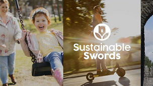 Sustainable Swords Place-Making Plan
