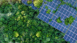 Solar panels in forest representing the green transition and sustainability