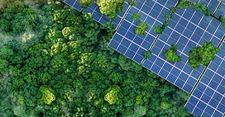 Green transition