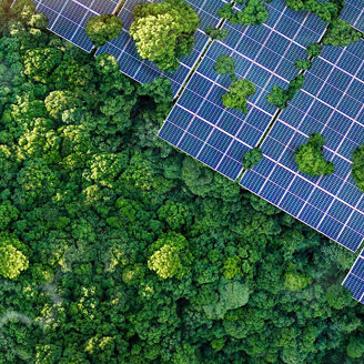 Solar panels in forest representing the green transition and sustainability
