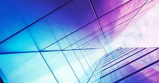 Insurance Insights December 2024