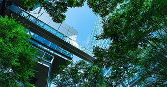 The Nature of Finance