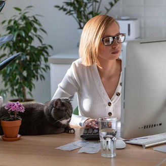 Woman using calculator to calculate the invoice, planning expenses while working on desktop from home office, cat sleeps nearby on the table