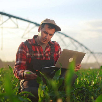 male farmer works on a laptop in a field