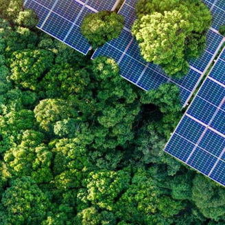 Trees among solar panels, CSRD redefined 
