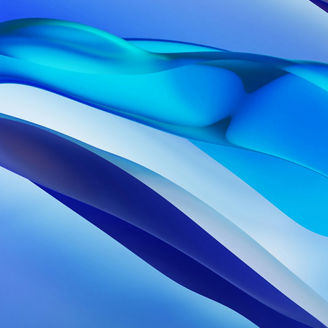 Save & Close  Preparation of Annual Personal Income Tax Returns