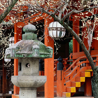 detalle de bandera de Japón