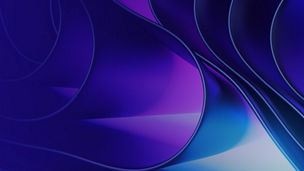 internal audit banner