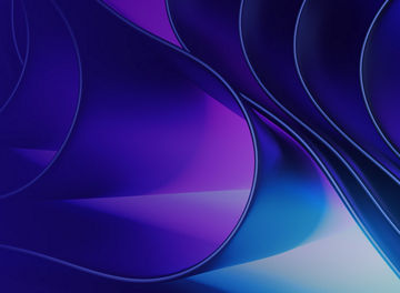 internal audit banner