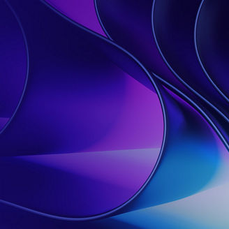 internal audit banner