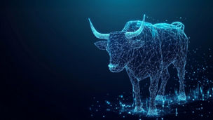 IPO readiness: A governance stress test for boards