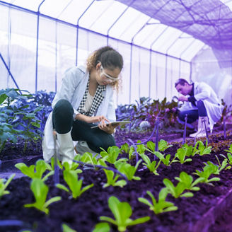 isg-ccrc-lenders-woman-planting-plants