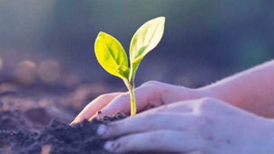 ISG emissions schemes