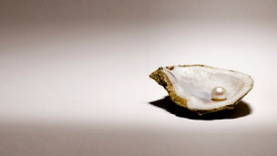 Pearl in oyster shell on a vignetted background