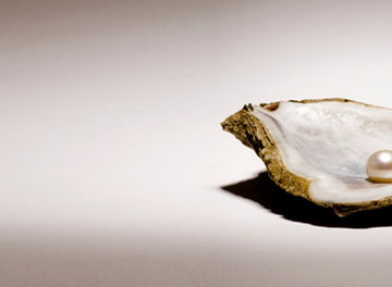 Pearl in oyster shell on a vignetted background