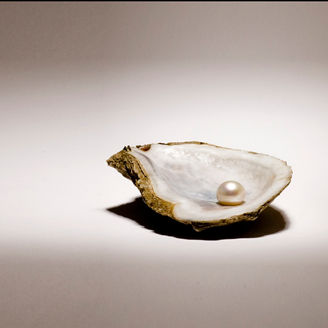 Pearl in oyster shell on a vignetted background