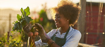 woman planting plants