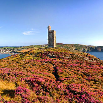 Heather in Bloom on Brada Head. Panorama of South of the Isle of Man with Milner Tower. Port Erin on the Right and Calf of Mann on the left.