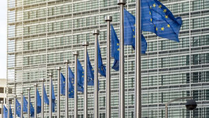 UN blue flags waving