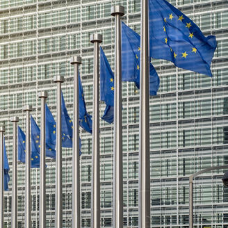 UN blue flags waving