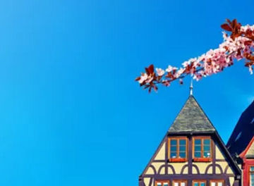 Häuserfront mit Mandelblüten