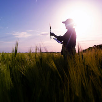 Japanese alt text: 食農バリューチェーン全体最適化支援