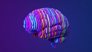 AIデータマネジメント態勢構築支援