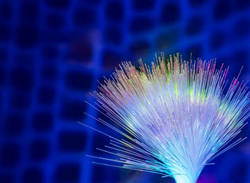 Japanese alt text: 脳活動データが生み出す新たな価値