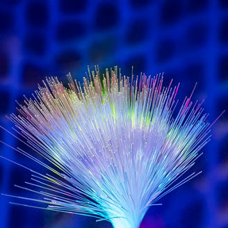 Japanese alt text: 脳活動データが生み出す新たな価値